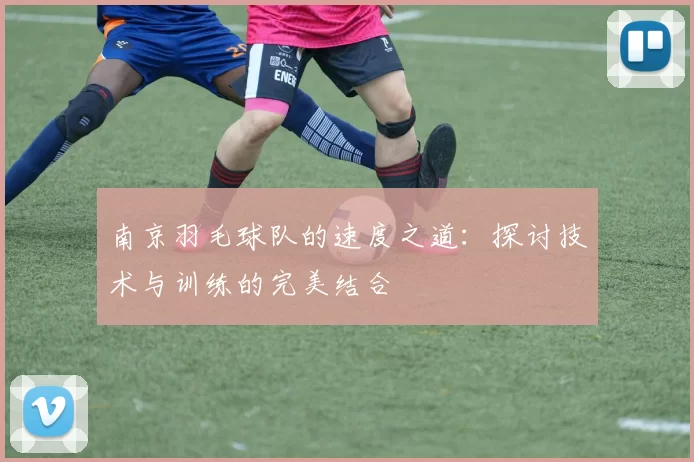 南京羽毛球队的速度之道：探讨技术与训练的完美结合