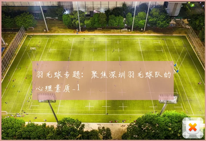 羽毛球专题：聚焦深圳羽毛球队的心理素质_1